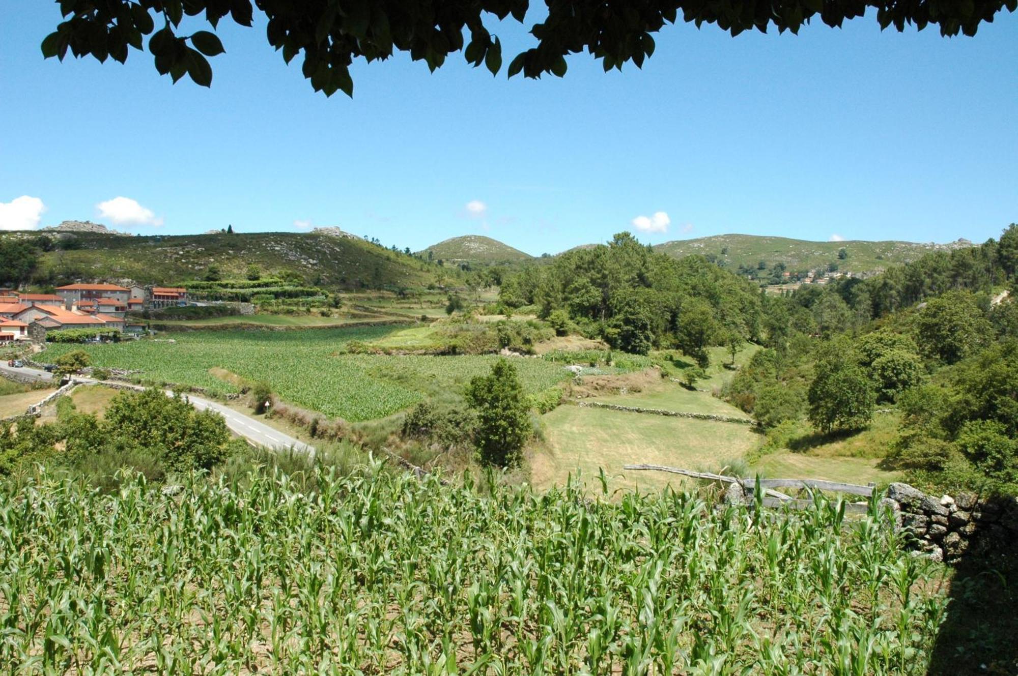 Casa De Campo Monte Abades Konuk evi Terras de Bouro Dış mekan fotoğraf