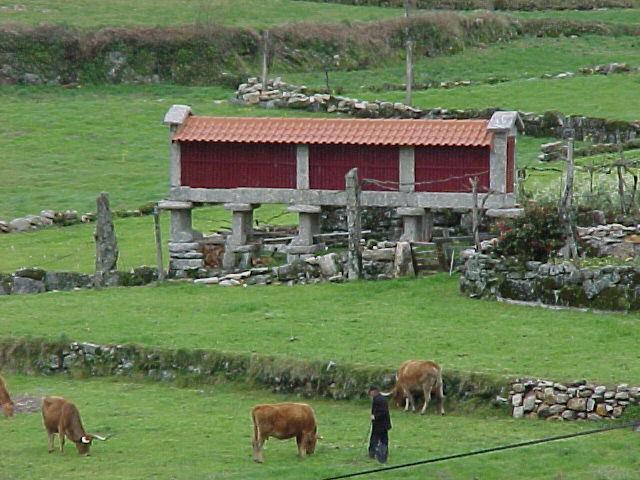 Casa De Campo Monte Abades Konuk evi Terras de Bouro Dış mekan fotoğraf